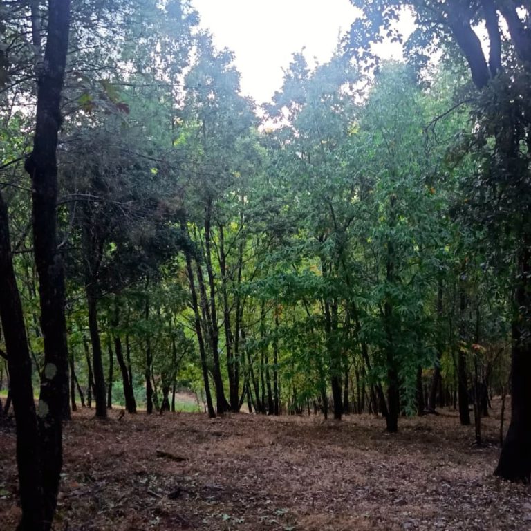 Home img 20250824 wa0018