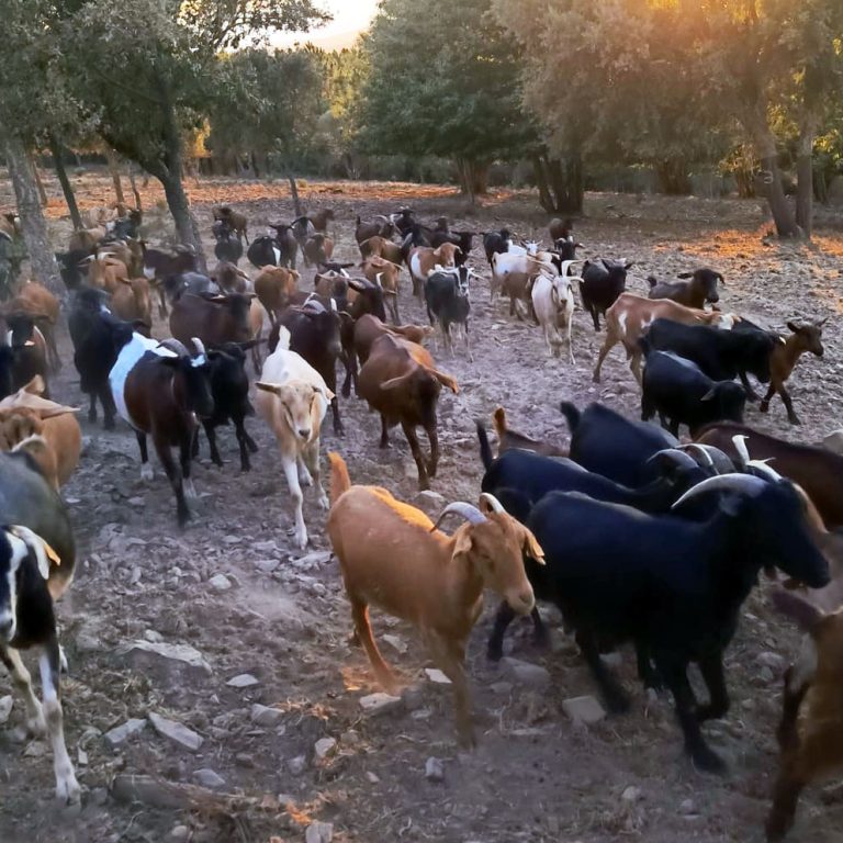 Home img 20250907 wa0000