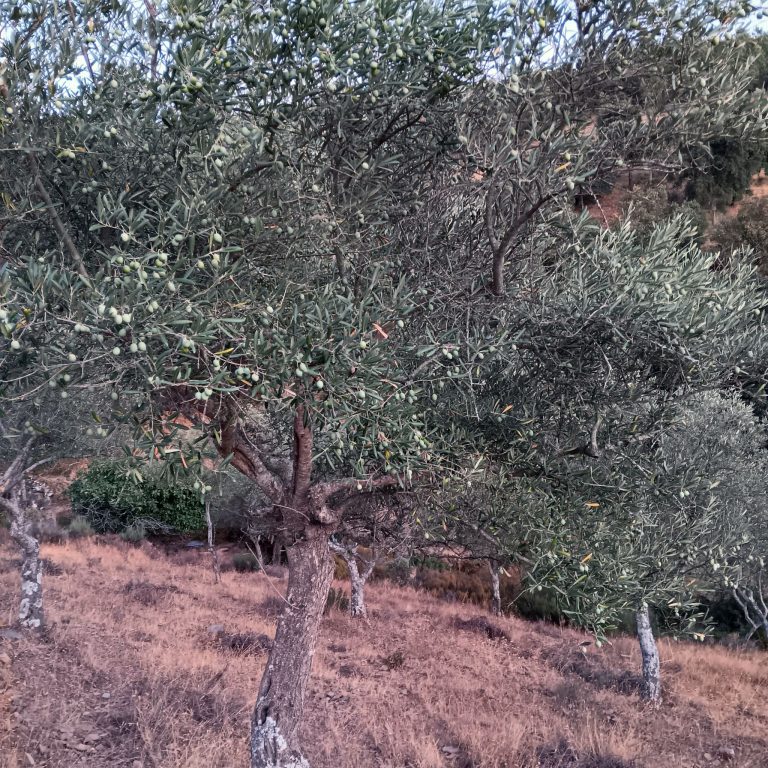 Home img 20250923 wa0001