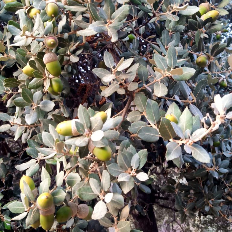 Home img 20250923 wa0005