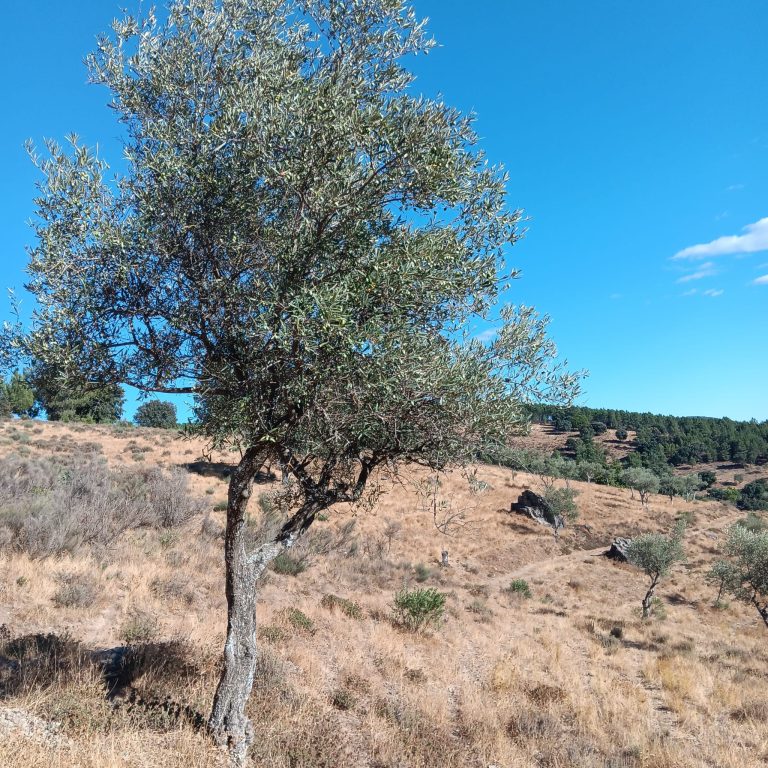 Home img 20250923 wa0008