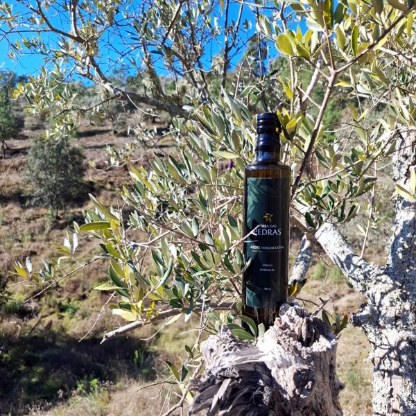 Terra das Pedras | Produção de Azeite Virgem extra em Modo de Produção Biológico | Venda Alemanha Portugal e França