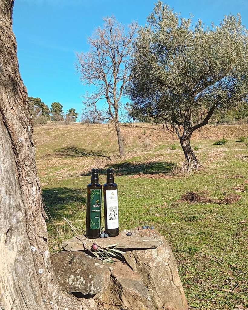 Terra das Pedras | Produção de Azeite Virgem extra em Modo de Produção Biológico